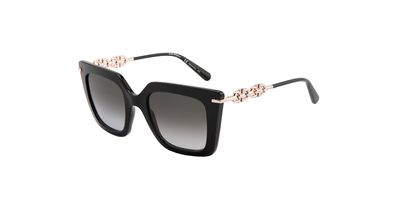 S.FERRAGAMO 1041S SOLAR 001 51