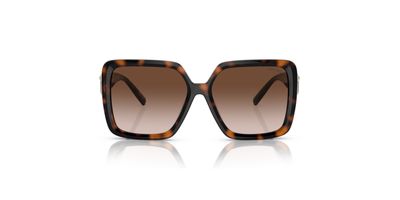 TIFFANY 4206U SOLAR 80153B 58