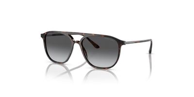 G.ARMANI 8179 SOLAR POLARIZADA 5026T3 56