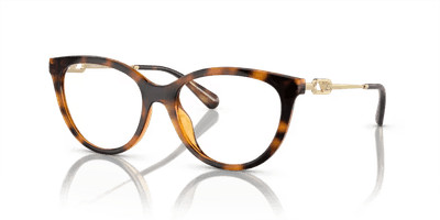 E.ARMANI 4213U SOLAR COM CLIP 50261W 53