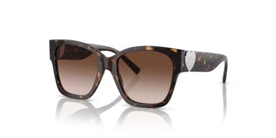 TIFFANY 4216 SOLAR 80153B 54