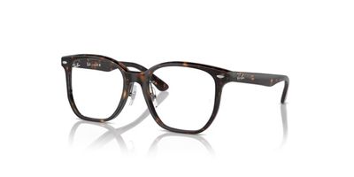 R. BAN 5425D RX 2012 54
