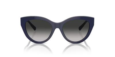TIFFANY 4220 SOLAR 83963C 54