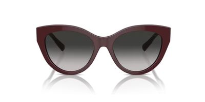 TIFFANY 4220 SOLAR 83893C 54