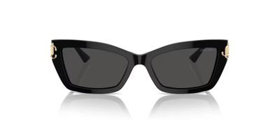 JIMMY CHOO 5011U SOLAR 500087 55