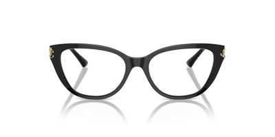 JIMMY CHOO 3011 RX 5000 54