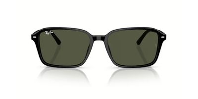 RAY BAN 2231 RAIMOND SOLAR 901/31 58