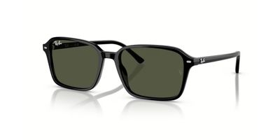 RAY BAN 2231 RAIMOND SOLAR 901/31 58