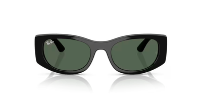 RAY BAN 4446L SOLAR 667771 54