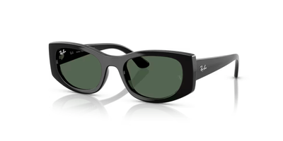 RAY BAN 4446L SOLAR 667771 54