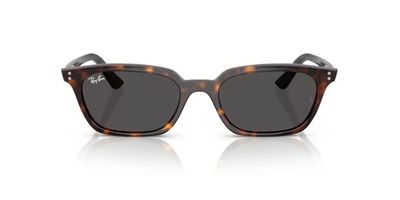 RAY BAN 4456 ZAYA SOLAR 135987 53