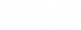 Grupo Optical Sunglasses - 60